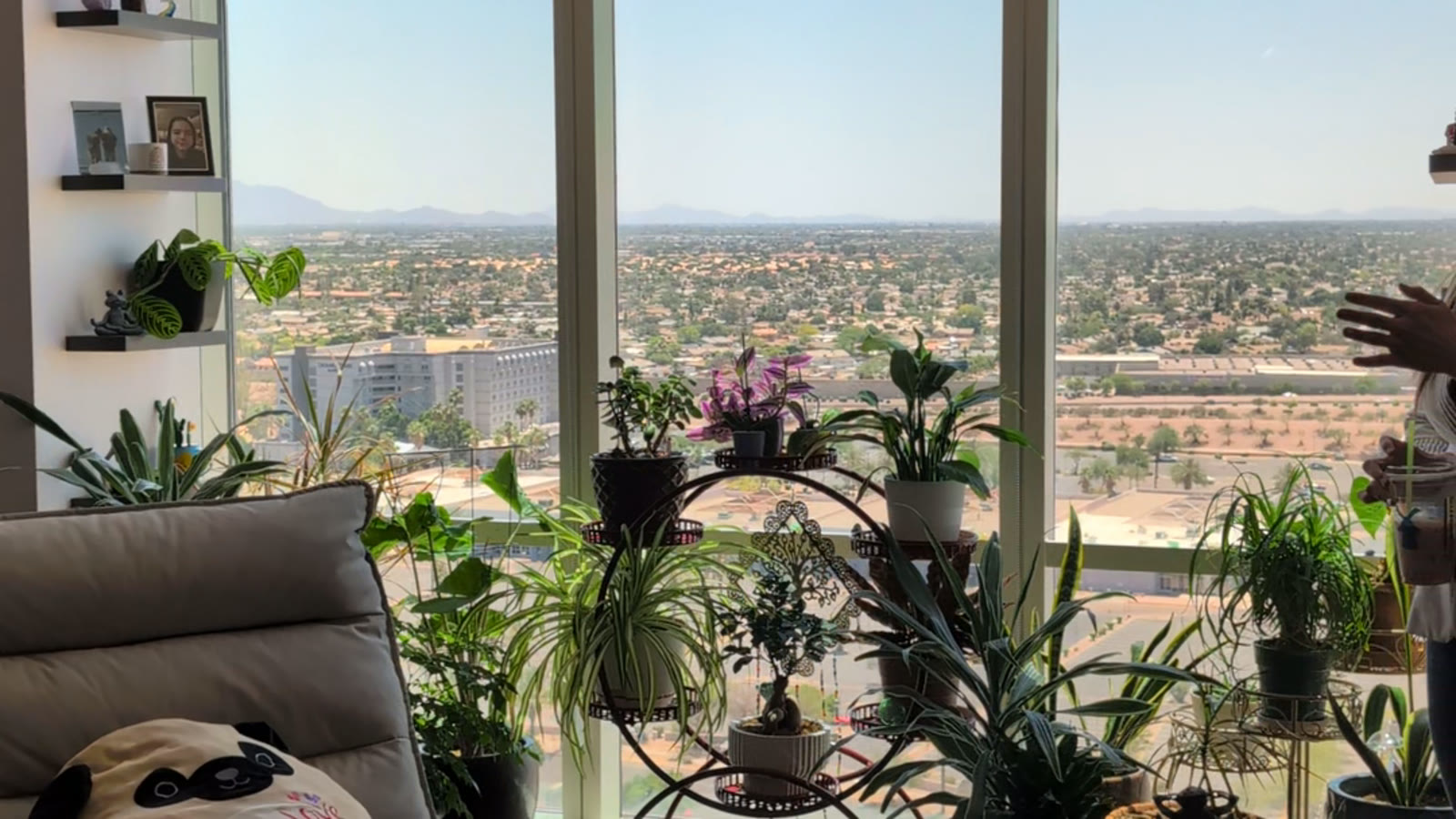 A bright, plant-filled room at Calm Psych overlooking the Arizona valley